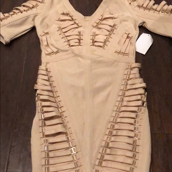 Gold Label Midi Bodycon Dress - Picture 4 of 6